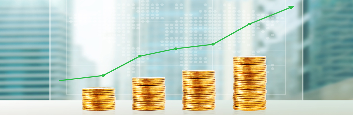 Adding Value to Economy of The Istanbul